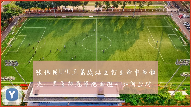张伟丽UFC卫冕战站立打击命中率领先,草量级冠军地面缠斗如何应对挑战者?